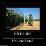 ������������� ������