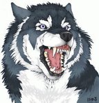 ������� BadOkami