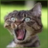 ������������� ������