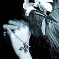 ������� Mortal_Vampire