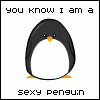  such_a_sexy_penguin