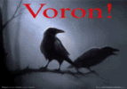 ������� GoDLiKe_RaVeN