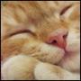 ������� FLUFFY_DASHKA