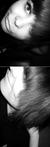 ������� Terry_Nelson