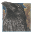 ������� lilcrow