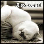 ������� ���_����������