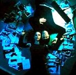 ������� transplantant