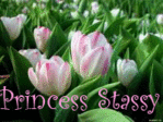 ������� Princess_Stassy