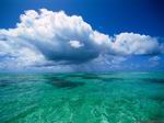 ������� Green_sea