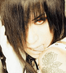 ������� FollyBoy
