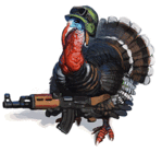 ������� its_Turkey_Time