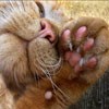 ������������� ������