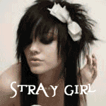  Stray_girl