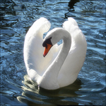 ������� Lade1