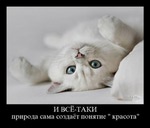 ������� ��������_������