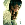 ������� � ��������