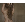 ������� � ��������