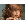 ������� � ��������
