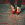 ������� � ��������